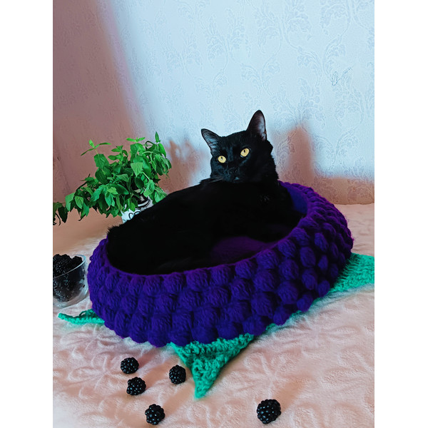 Blackberry house_cat bed crochet_cat bed.jpg