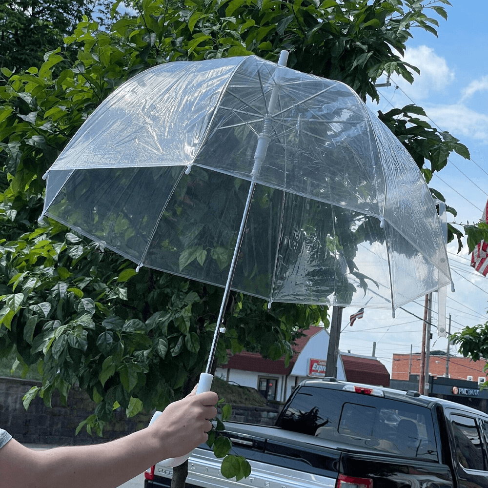 toteswomensclearbubbleumbrella3.png