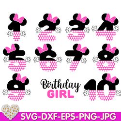 Minnie Polka Birthday Girls set with number 1-10 1st Bithday digital design Cricut svg dxf eps png ipg pdf cut file