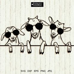 Goats with sunglasses SVG for Cricut, Farmhouse svg, Goat head, Farm animals clipart, Laser Vinyl Cameo Silhouette Decal