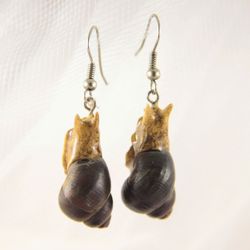 Snail long earrings on hooks. Realistic unusual earrings, a gift for her. Unisex Earrings