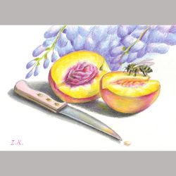 Peaches, a bee and a blooming wisteria. Original colored pencil drawing 6x8''