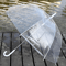 totesclearumbrella6.png