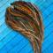 msg811592537-34863.jpg