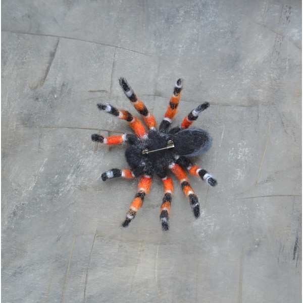 Tarantula spider replica brooch (5).JPG
