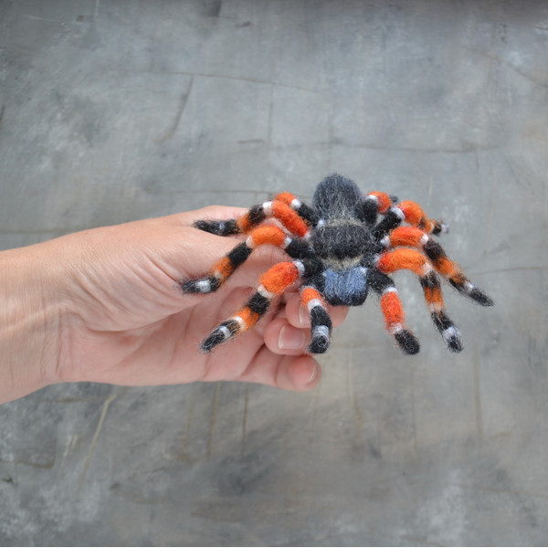 Tarantula spider replica brooch (7).JPG