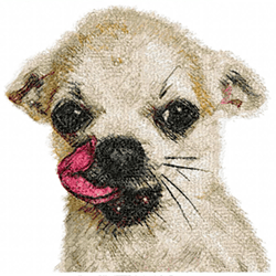 Chihuahua - Machine Embroidery Design | Chihuahua Puppy | Small Chihuahua Dog | Photo Stitch Dog Design | Digital File