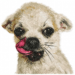chihuahua - machine embroidery design | chihuahua puppy | small chihuahua dog | photo stitch dog design | digital file