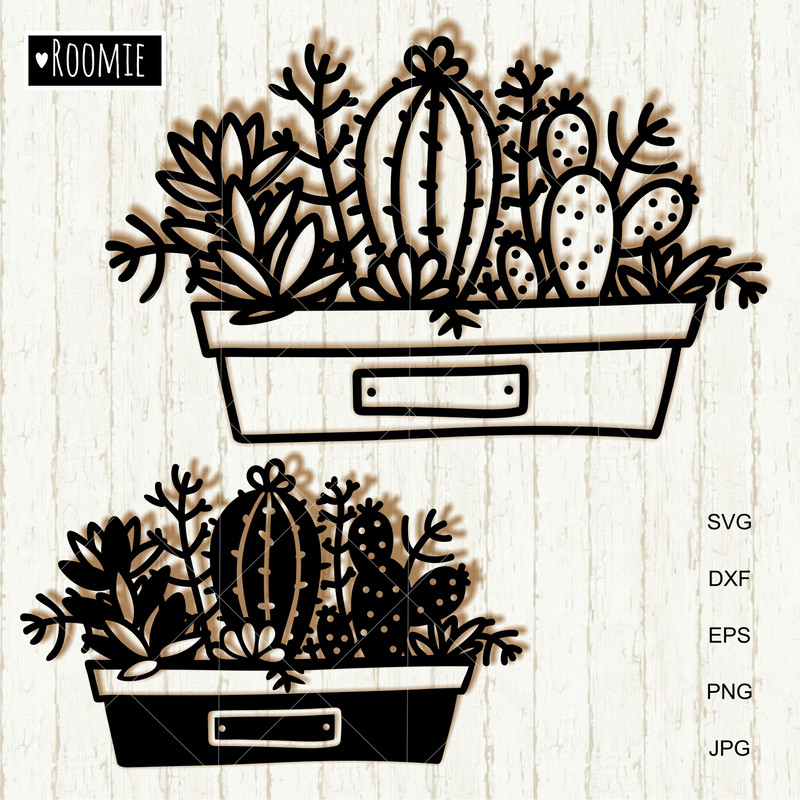 Cactus and Succulent clipart.jpg