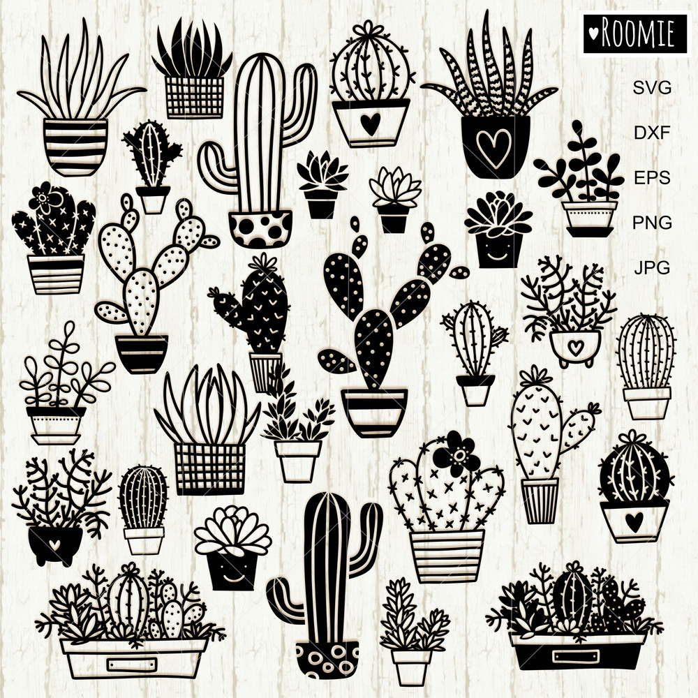 30 Cactuses and Succulents bundle clipart.jpg