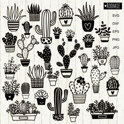 Cactus BUNDLE SVG, Succulent svg, Cactuses cut file, Cactus clipart, Succulent Clipart, Plant Svg Cactus pot svg Png