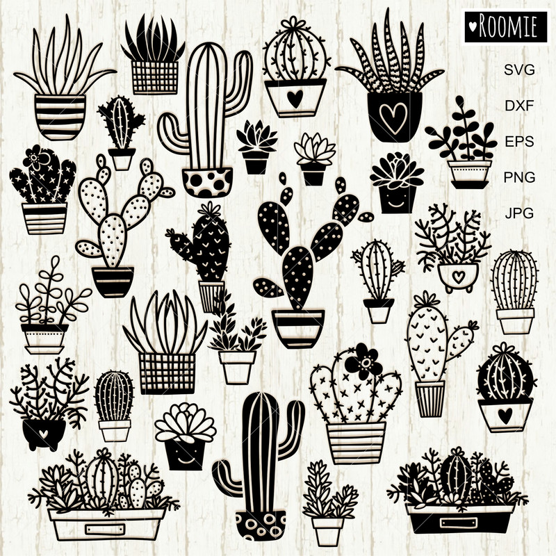 30 Cactuses and Succulents bundle clipart.jpg