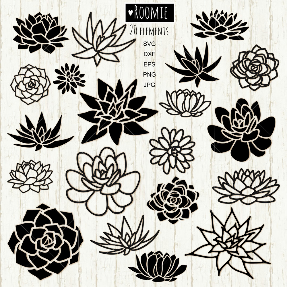 Succulent 20 Cactus BUNDLE.jpg