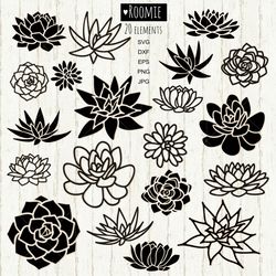 succulent bundle svg, cactus svg, cactuses cut file, cactus clipart, succulent clipart, plant svg cactus pot svg png