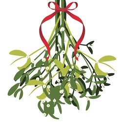 Decorative mistletoe branches with white berries illustration