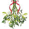 Branch of mistletoe.jpg