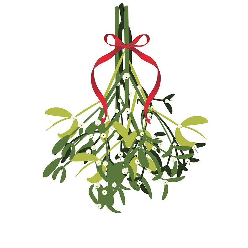Branch of mistletoe.jpg
