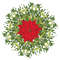 Branch of mistletoe3.jpg