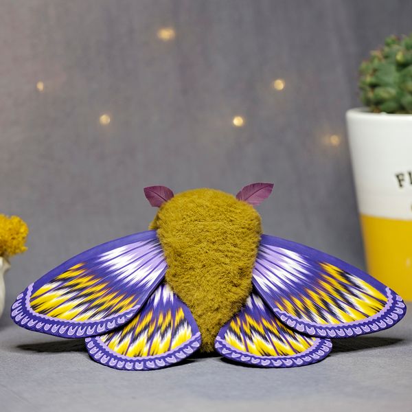 purple_moth.jpg