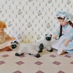 Small Siamese cats for a dollhouse.1:12 scale.