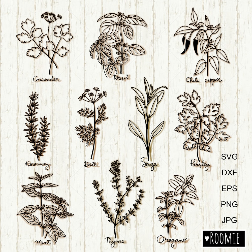 Culinary Herbs bundle clipart.jpg