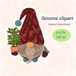Gnome Clipart, Gnome PNG, Christmas Gnome Clipart, Clipart, Christmas Clipart, Garden Gnome Clipart, Digital Gnome Clipa