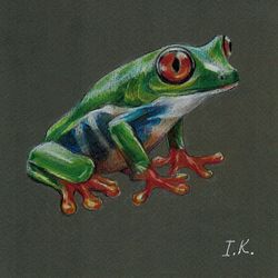 Tropical frog. Original Colored pencil drawing 6x6''