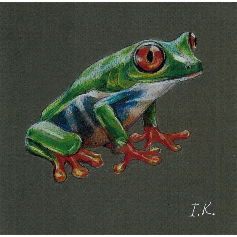 tropical frog 1.jpg