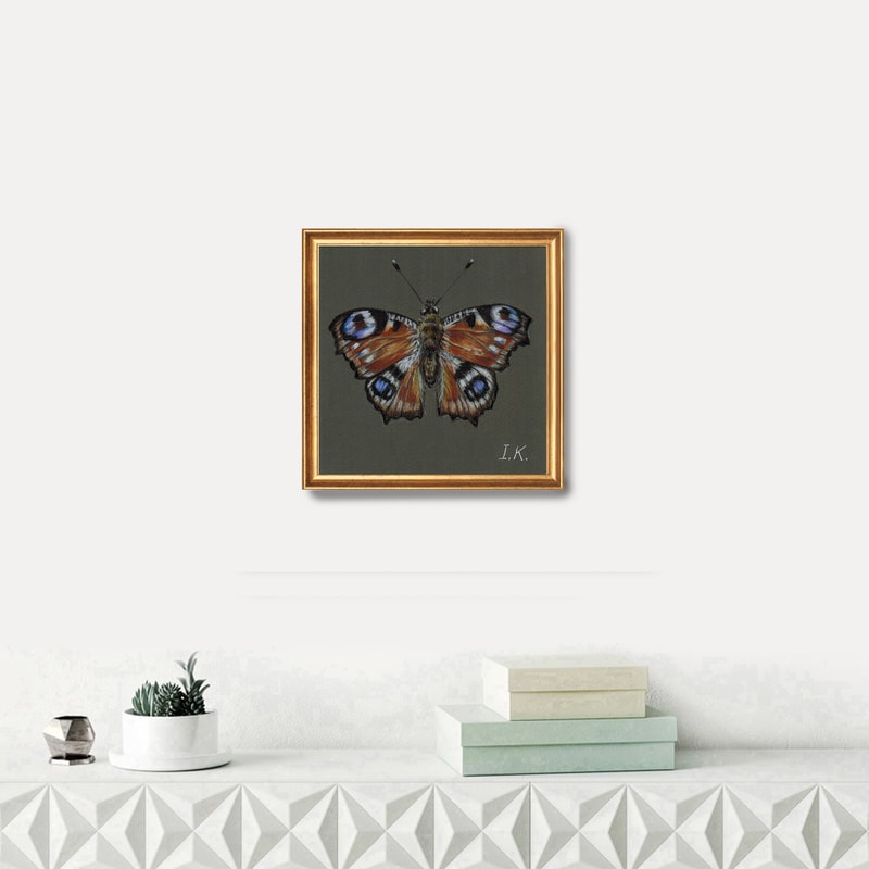 butterfly 1 frame1.jpg