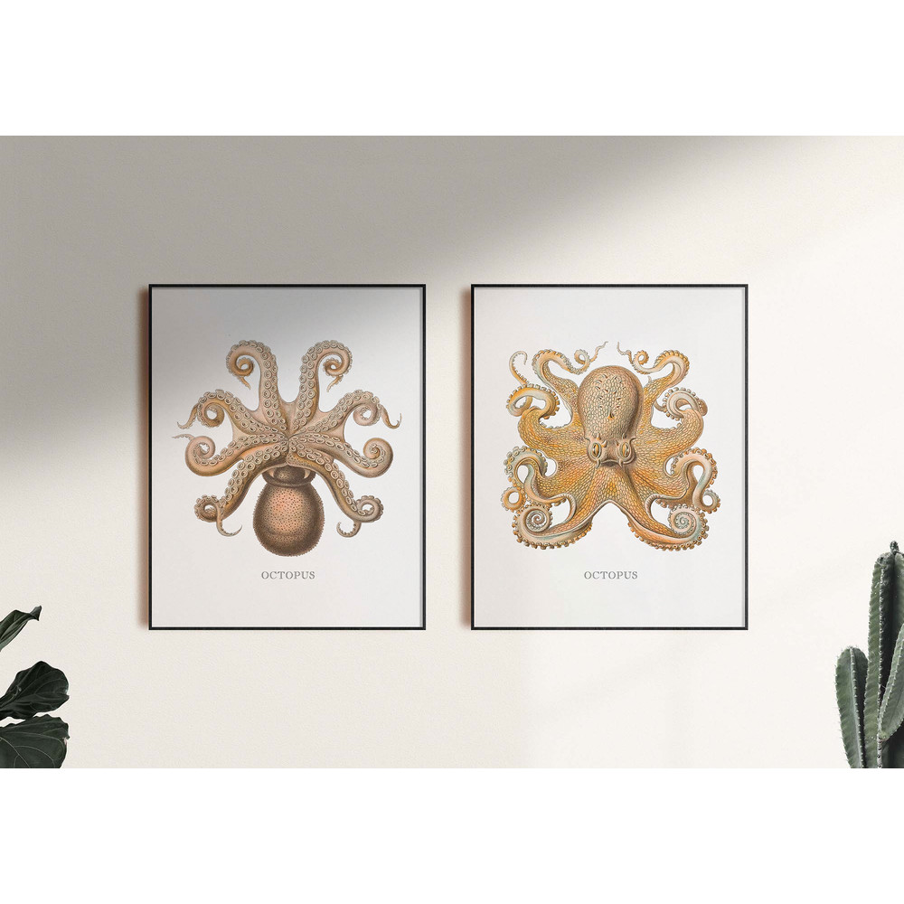 octopus wall art.jpg