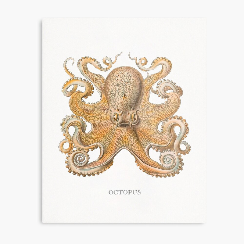 work-71824771-metal-print (1).jpg