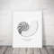 vintage-sea-shell-nautilus-pompilius-poster-prints bw.jpg