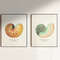 shell-print-set.jpg