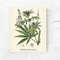 cannabis_posters_vintage_2.jpg