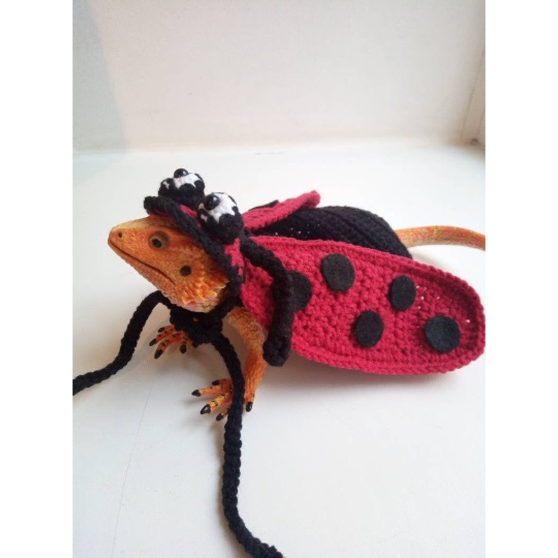 загружено (2).jpg