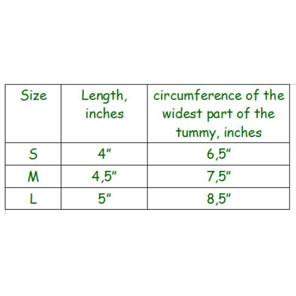 bearded dragon size.png
