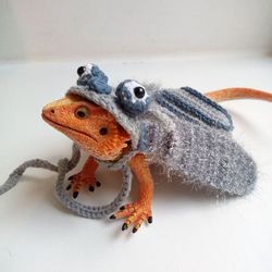 fly bearded dragon costume, rats, guinea pig, hedgehog, small pet fly costume