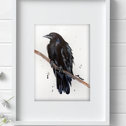 1 Crow 8x11 inch original watercolor raven art black birds raven painting by Anne Gorywine