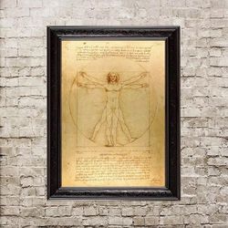 Vitruvian Man. Vitruve Luc Viatour. Leonardo da Vinci. Famous art reproduction. 369.