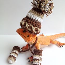 Bearded dragon Mittens and Hat, Inauguration Pet Mittens
