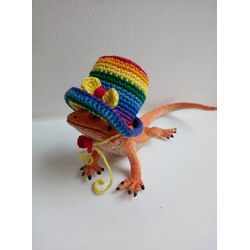 Rainbow beardie hat, Rainbow rat hat, Rainbow hedgehog hat, Rainbow dog hat