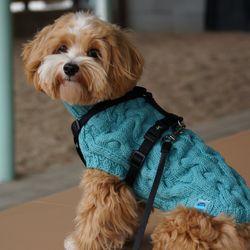 Stylish knitted sweater for a dog with a back length of 15 inches. Clothes for dogs of all breeds.