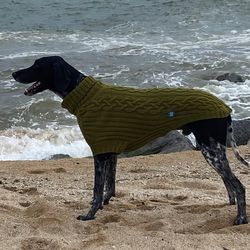 Cool knitted sweater for a large dog. Size XXL. Warm clothes for dogs of all sizes