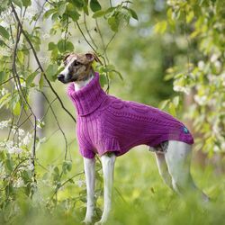 Trendy sweater for dog breed whippet. Back length 22 inches. Knitted clothes for dogs.