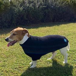 Fashionable knitted dog sweater. Back length 17 inches. Warm clothes for dogs. Size L