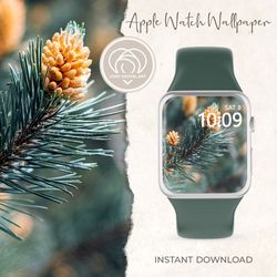 Apple Watch Wallpaper | Thanksgiving Autumn Fall Evergreen Tree Cones Apple Watch Face |  Smart Watch Background