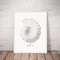 nautilus-shell-vintage.jpg