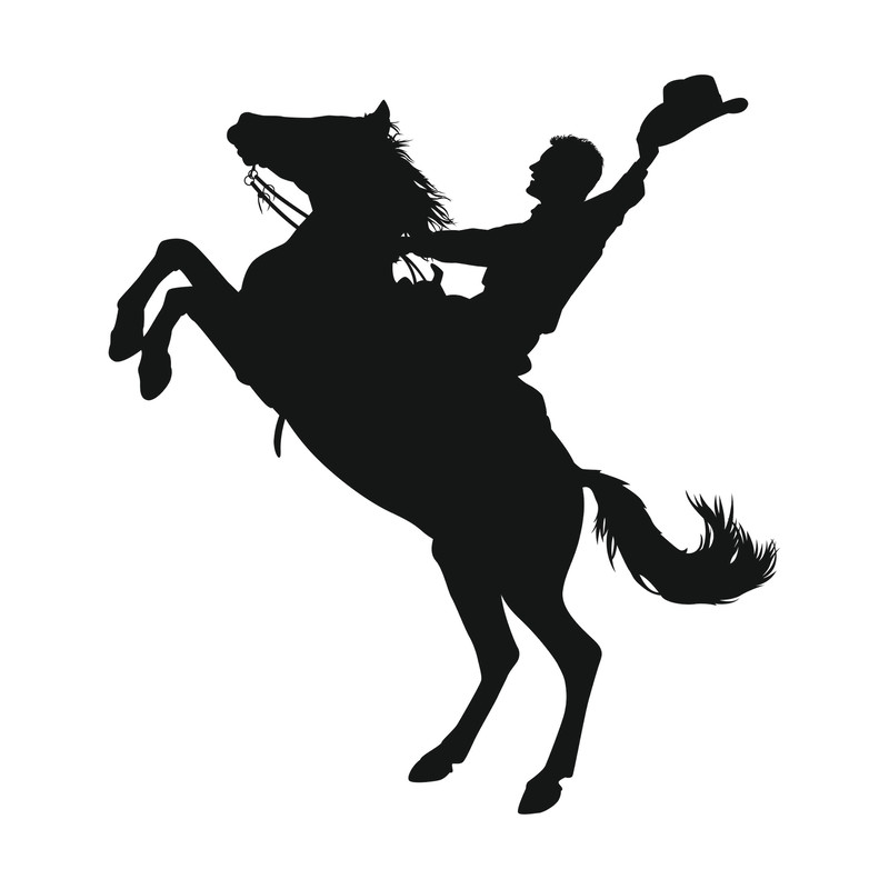 cowboy_5.jpg