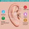 Comfortable Acupressure Earrings for Daily Wear