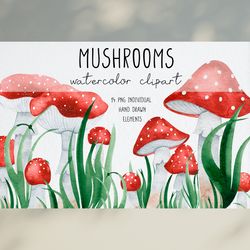 watercolor mushrooms clipart / red forest mushrooms clip art / fly agaric clipart / fall forest harvest